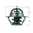 Thermostat d'eau MAHLE TX 100 89D - Visuel 1