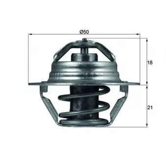 Thermostat d'eau MAHLE TX 100 89D