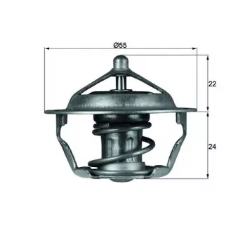 Thermostat d'eau MAHLE TX 101 83D