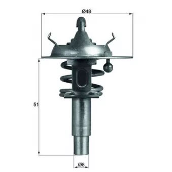 Thermostat d'eau MAHLE TX 106 90D