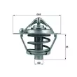 Thermostat d'eau MAHLE TX 108 82D - Visuel 1
