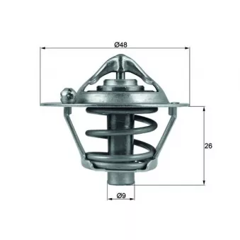 Thermostat d'eau MAHLE TX 108 82D