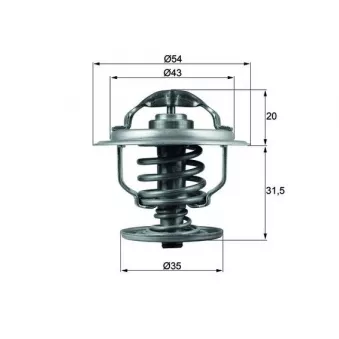 Thermostat d'eau MAHLE TX 109 87D