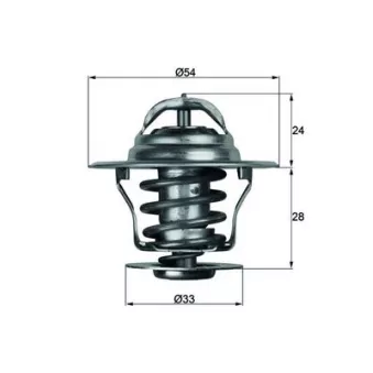 Thermostat d'eau MAHLE TX 11 92D