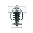 Thermostat d'eau MAHLE TX 110 82D - Visuel 1