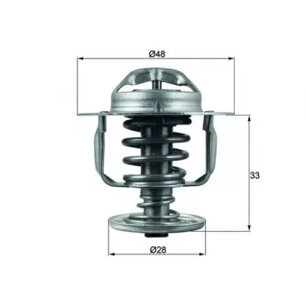 Thermostat d'eau MAHLE TX 110 82D