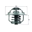 Thermostat d'eau MAHLE TX 111 87D - Visuel 1