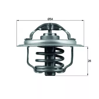 Thermostat d'eau MAHLE TX 111 87D