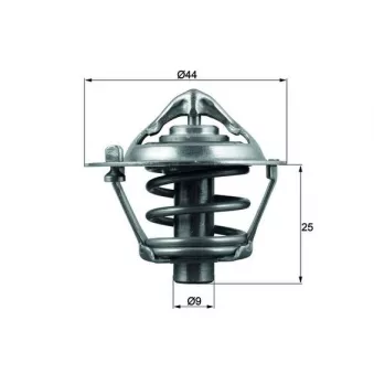 Thermostat d'eau MAHLE TX 113 82D