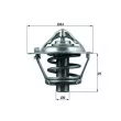 Thermostat d'eau MAHLE TX 113 88D - Visuel 1