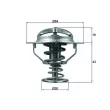 Thermostat d'eau MAHLE TX 114 82D - Visuel 1