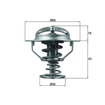Thermostat d'eau MAHLE TX 114 82D