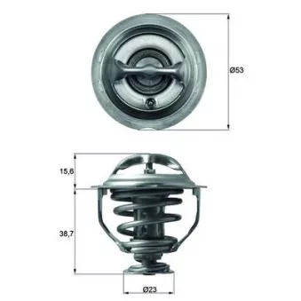 Thermostat d'eau MAHLE TX 117 95D