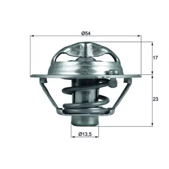 Thermostat d'eau MAHLE TX 118 82D