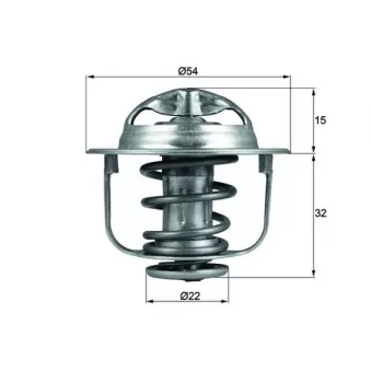Thermostat d'eau MAHLE TX 120 89D