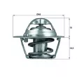 Thermostat d'eau MAHLE TX 121 74D - Visuel 1