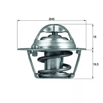 Thermostat d'eau MAHLE TX 121 74D