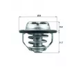 Thermostat d'eau MAHLE TX 122 82 - Visuel 1