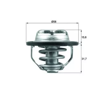 Thermostat d'eau MAHLE TX 122 82