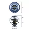 Thermostat d'eau MAHLE TX 123 95D - Visuel 1