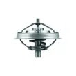 Thermostat d'eau MAHLE TX 125 80 - Visuel 2