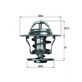 Thermostat d'eau MAHLE TX 13 87D