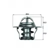 Thermostat d'eau MAHLE TX 14 80D - Visuel 1