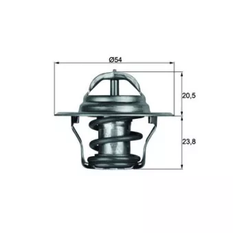 Thermostat d'eau MAHLE TX 14 80D