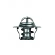 Thermostat d'eau MAHLE TX 14 80D - Visuel 2
