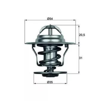 Thermostat d'eau MAHLE TX 15 84D