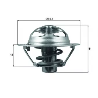 Thermostat d'eau MAHLE TX 162 82D