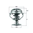 Thermostat d'eau MAHLE TX 164 82D - Visuel 1
