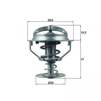 Thermostat d'eau MAHLE