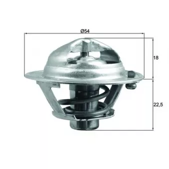 Thermostat d'eau MAHLE TX 166 85D