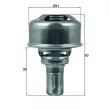 Thermostat d'eau MAHLE TX 174 86 - Visuel 1