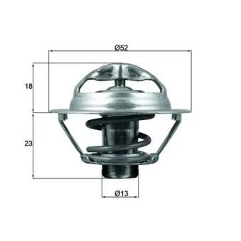 Thermostat d'eau MAHLE