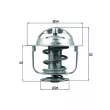 Thermostat d'eau MAHLE TX 176 82D - Visuel 1