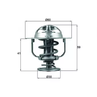 Thermostat d'eau MAHLE TX 177 82D