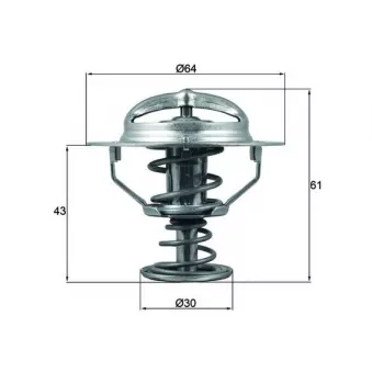 Thermostat d'eau MAHLE TX 178 78D