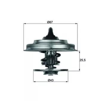 Thermostat d'eau MAHLE TX 18 79D