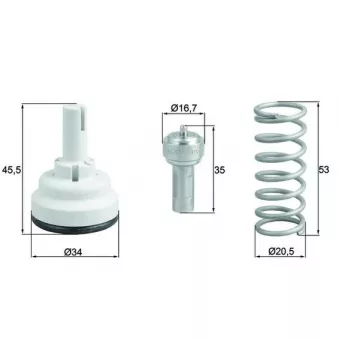Thermostat d'eau MAHLE