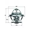 Thermostat d'eau MAHLE TX 19 75D - Visuel 1