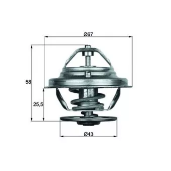 Thermostat d'eau MAHLE TX 19 75D