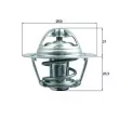 Thermostat d'eau MAHLE TX 196 75D - Visuel 1