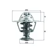 Thermostat d'eau MAHLE TX 199 88D - Visuel 1
