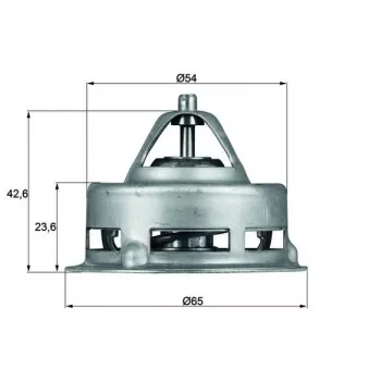 Thermostat d'eau MAHLE TX 2 79