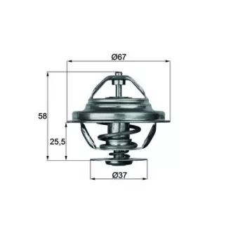 Thermostat d'eau MAHLE TX 20 71D