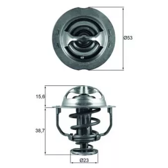 Thermostat d'eau MAHLE TX 200 90D