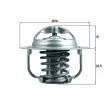 Thermostat d'eau MAHLE TX 201 86D - Visuel 1