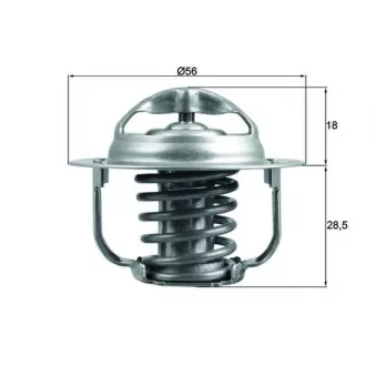 Thermostat d'eau MAHLE TX 201 86D